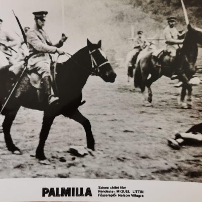 Palmilla vitrinkép 18x24 (VINTAGE filmfotó)