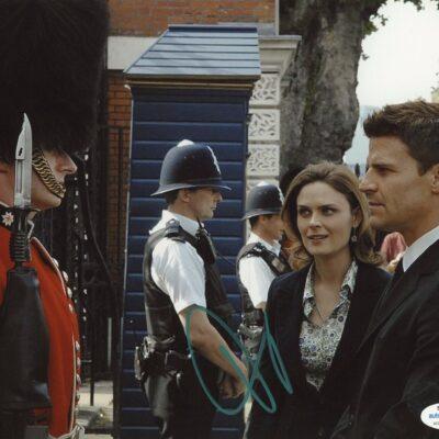 David Boreanaz 8x10 aláírt fotó (Dr. Csont)