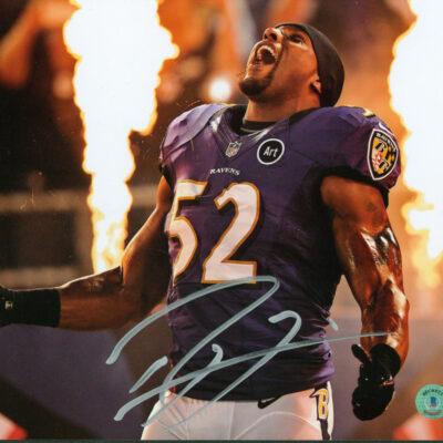 Ray Lewis 8x10 aláírt fotó (Baltimore Ravens)