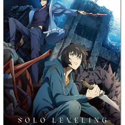 Solo Leveling Wall Scroll Sung Jinwoo Key Art 44 x 33 cm