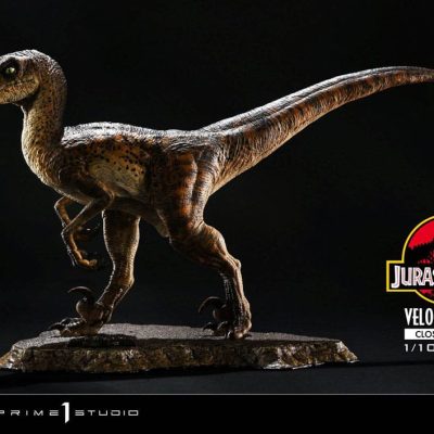 Jurassic Park Prime Collectibles Szobor 1/10 Velociraptor Closed Mouth 19 cm