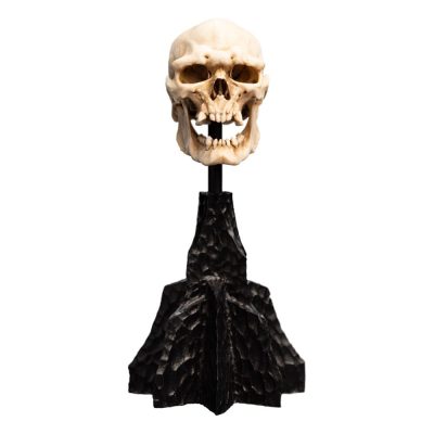 Lord of the Rings Mini Szobor Skull of a Mordor Orc 14 cm