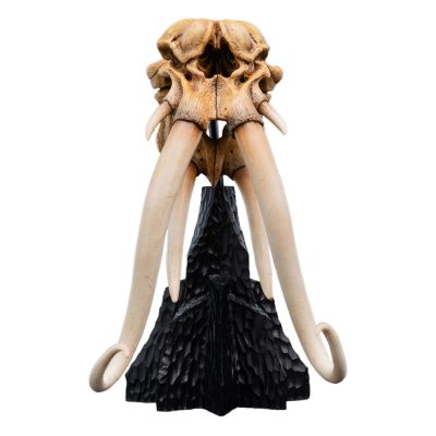 Lord of the Rings Mini Szobor Skull of a Mumak 15 cm